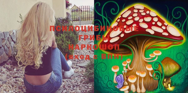 прущие крисы Пролетарск
