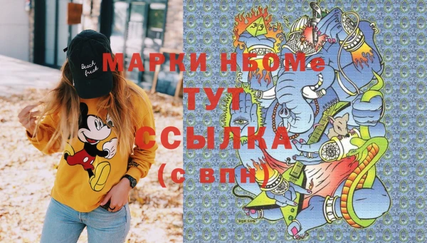 дмт Ельня