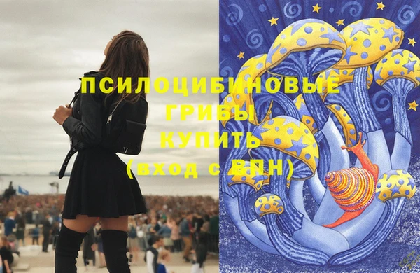 первитин Приозерск
